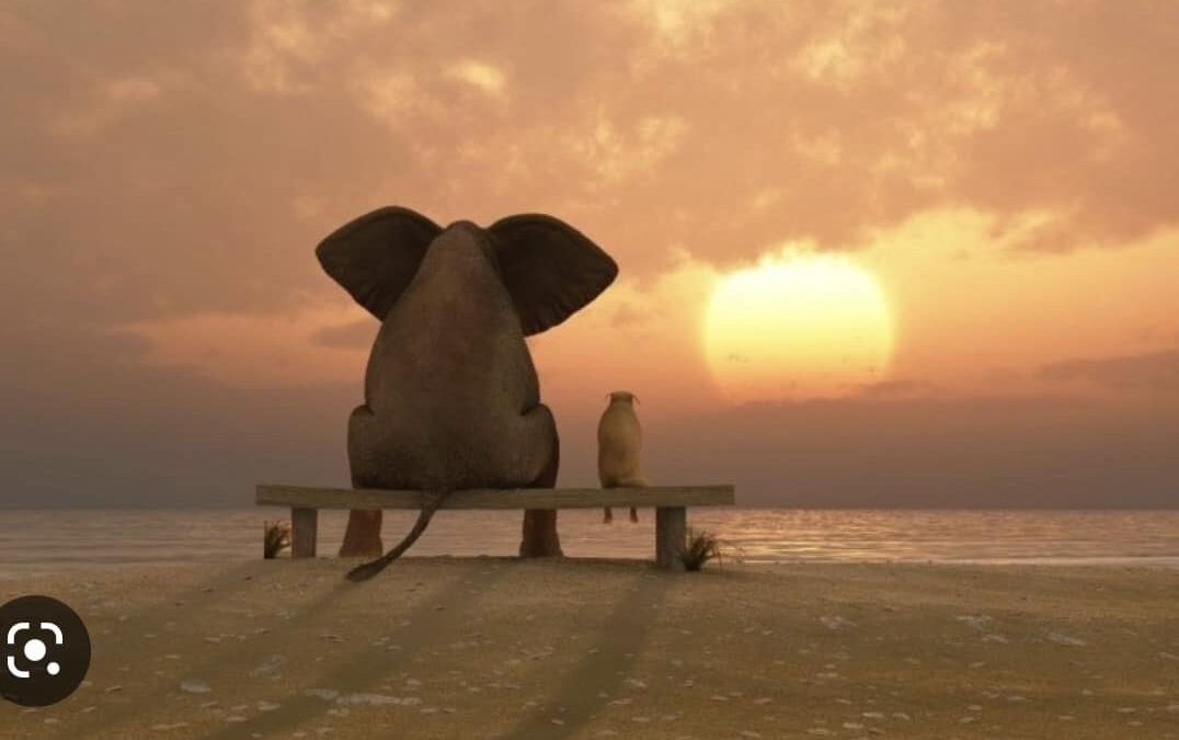 I BBONI SINTIMENTI (il buon…. Cuore…. che fa la differenza.